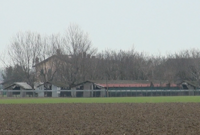 Zoffoli