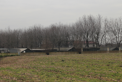 Villa-del-conte